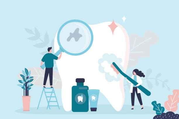 Best Preventive Dentistry  in Eastpoint, FL